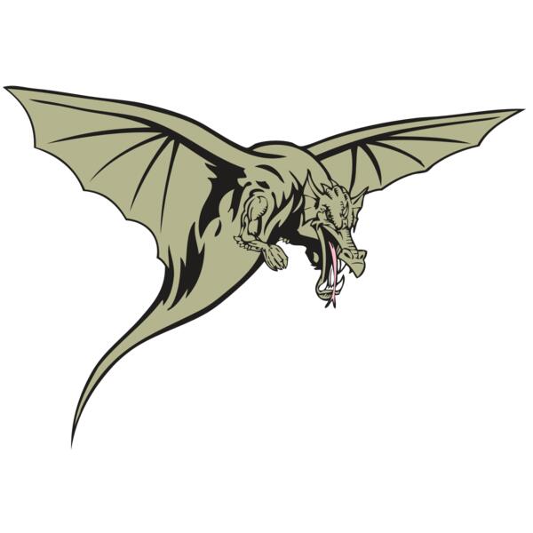 BAW DRAGON 12 RC Thumbnail