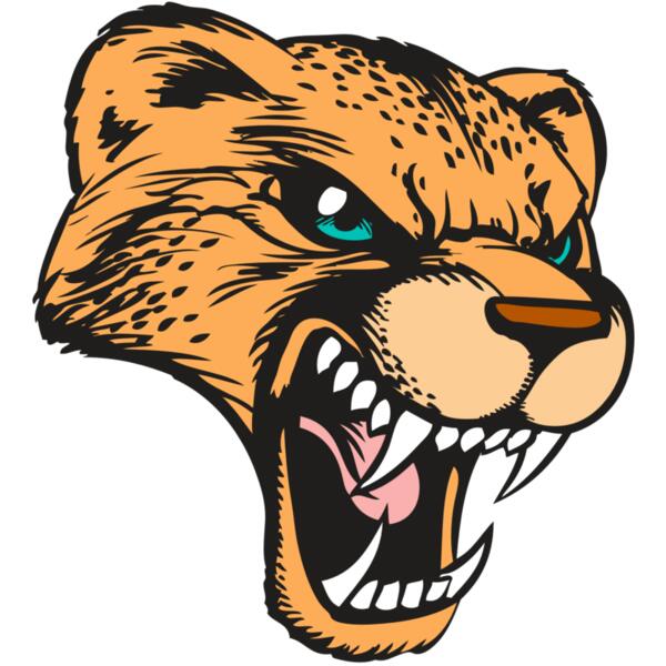 BAW CHEETAH 19 RC Thumbnail