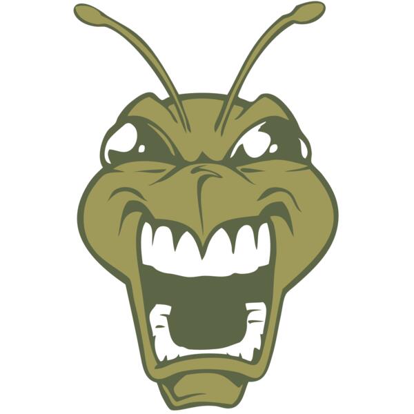 BAW BEE 13 RC Thumbnail