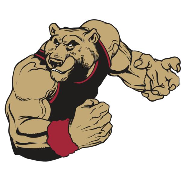 AR BEAR 40 RC Thumbnail