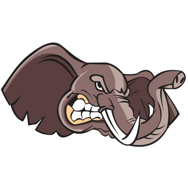 ELEPHANT HD0501 RQC Thumbnail