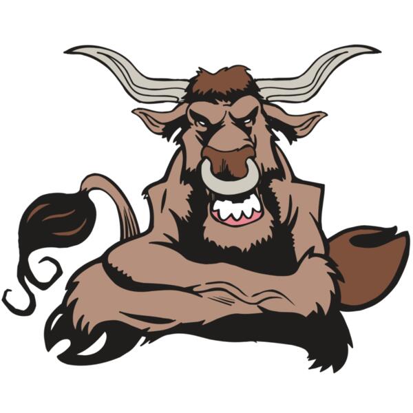 AR5 BULL 17 RQC Thumbnail