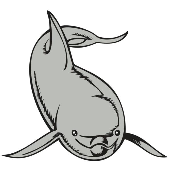 BAW DOLPHIN 02 RC Thumbnail