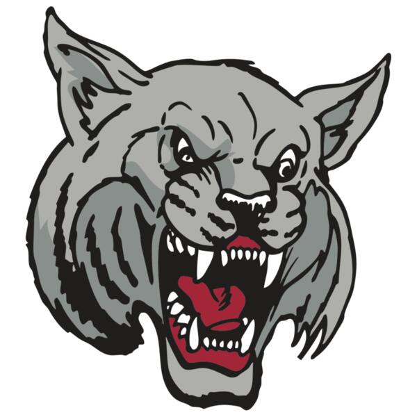 AR WILDCAT 42 RC Thumbnail