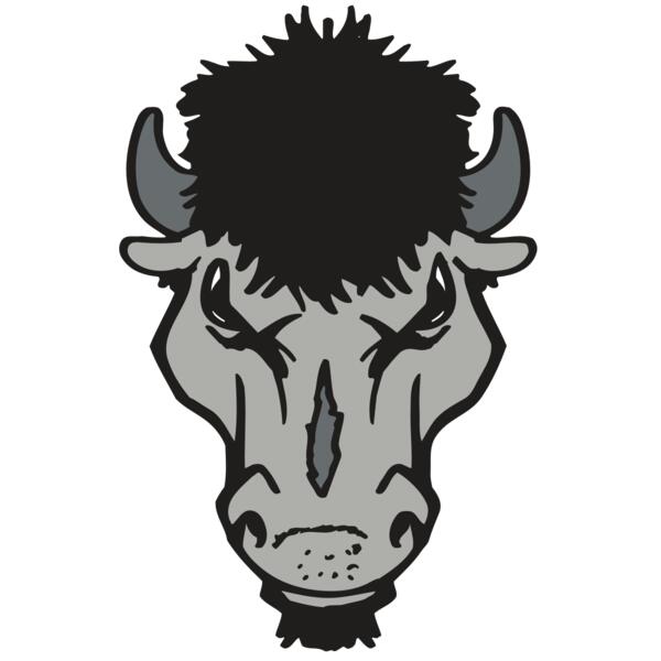 AR BUFFALO 15 RC Thumbnail