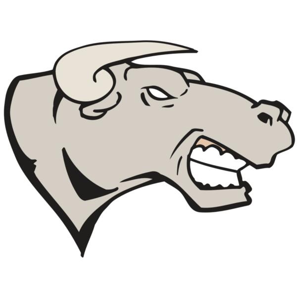 AR BULL 18 RC Thumbnail