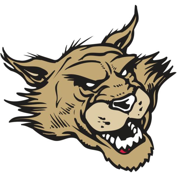 AR WILDCAT 39 RC Thumbnail