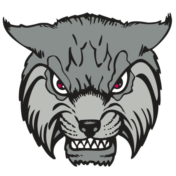 BAW BOBCAT 02 RC Thumbnail