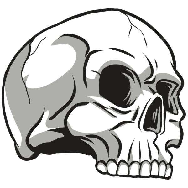 AR24 SKULL 10 RQC Thumbnail