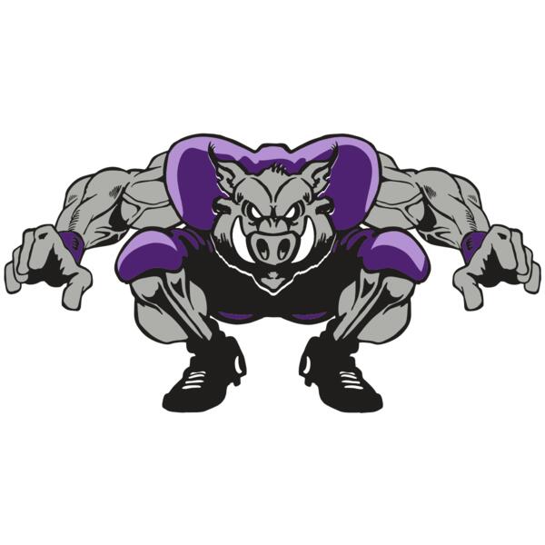 AR RAZORBACK 28 RC Thumbnail