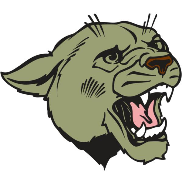 AR COUGAR 40 RC Thumbnail