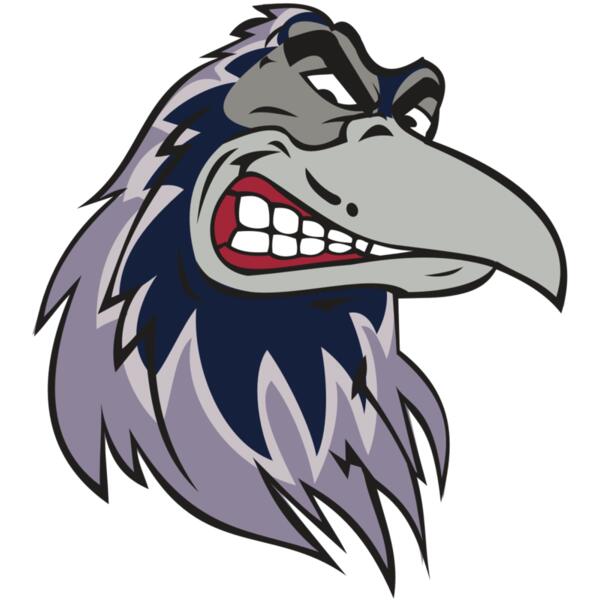 RAVEN HD0504 RQC Thumbnail