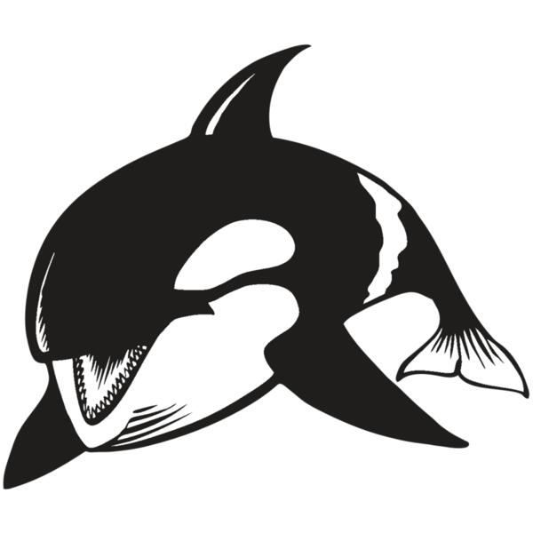 BAW KLRWHALE 04 RC Thumbnail