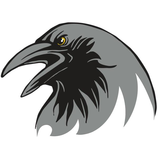 AR31 RAVEN 02 RQC Thumbnail