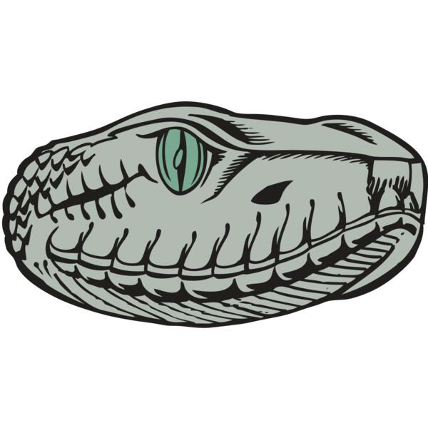 BAW SNAKE 10 RC Thumbnail