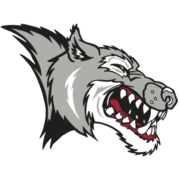 AR WOLF 15 RC Thumbnail