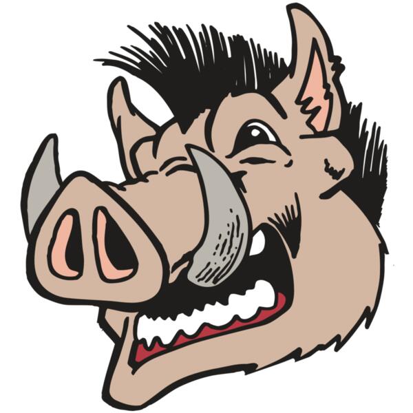 AR RAZORBACK 18 RC Thumbnail