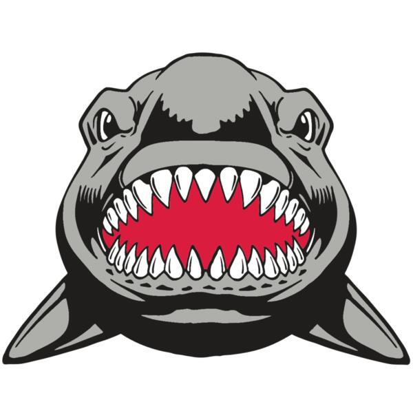 AR  SHARK 25 RC Thumbnail