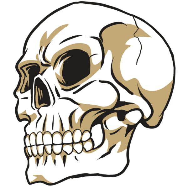 AR24 SKULL 08 RQC Thumbnail